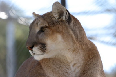 CRW_9661.JPG