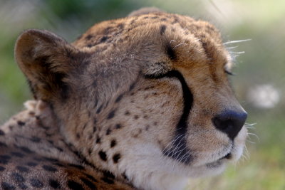 CRW_9674.JPG