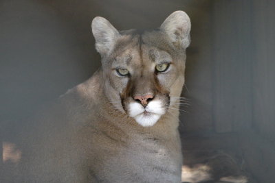 CRW_9708.JPG