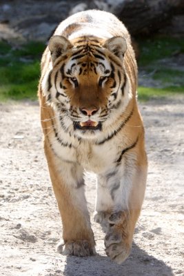 CRW_9765.JPG