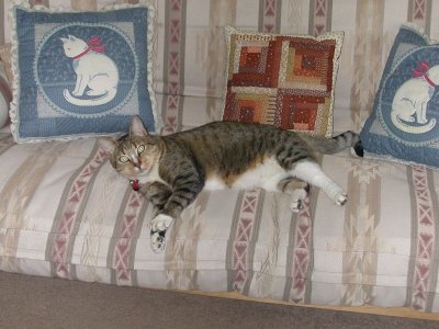 Studley Reclining