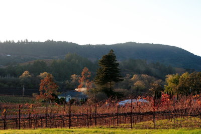 CRW_0199.JPG