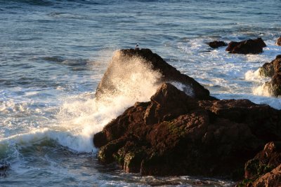 CRW_0276.JPG