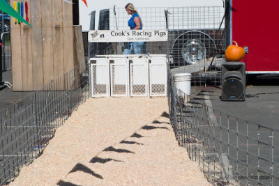 The starting gates