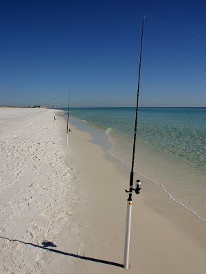 g6/01/731301/3/71388224.MbVfHIM1.jpg