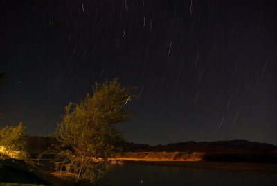 Under African skies