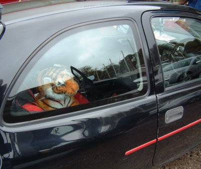 Back Seat Driver