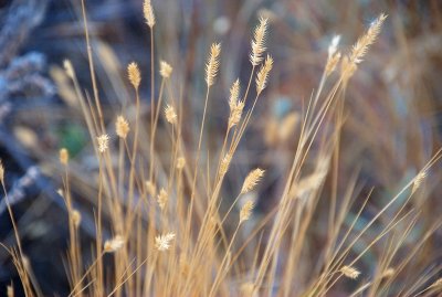 DSC_1669trj2.jpg