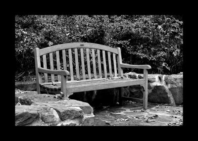 DSC_-7709-bw.jpg
