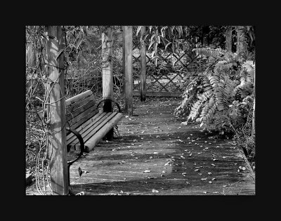 DSC_7651-bw.jpg