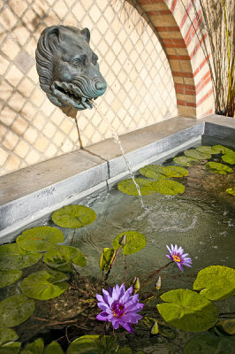 Small Fountain, Herb Garden