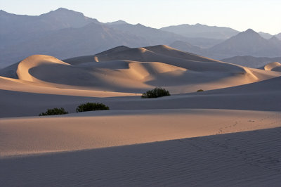 Morning Dunes #2, Stovepipe Wells