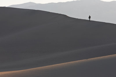Dune Walker