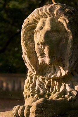 Lake Park Lion in the Morning Sun