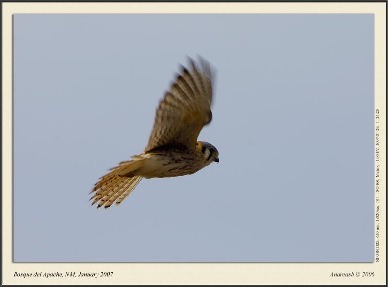 _DSC7432fscr.jpg