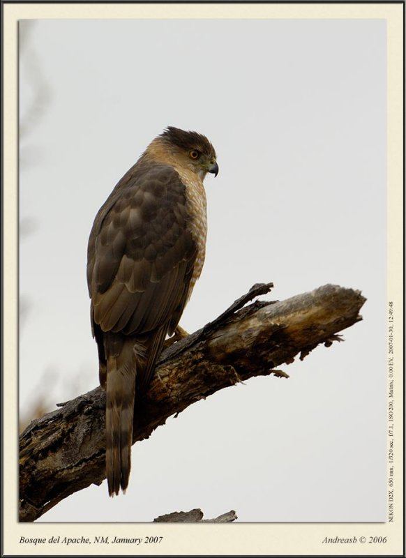 _DSC7768fscr.jpg
