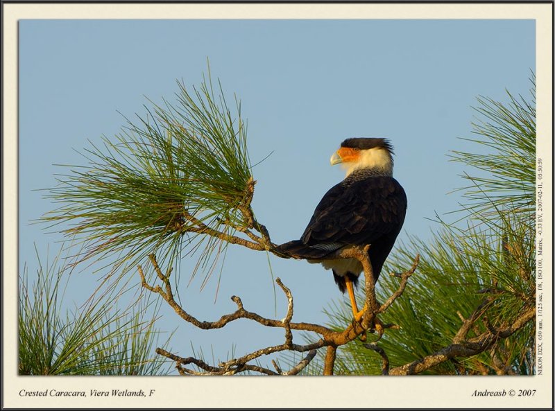 _DSC3705fscr.jpg