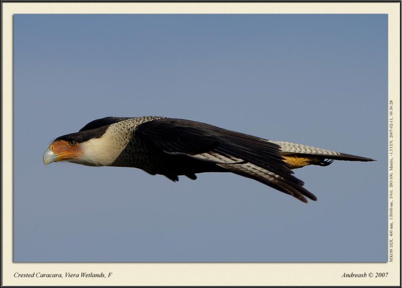 _DSC3850fscr.jpg