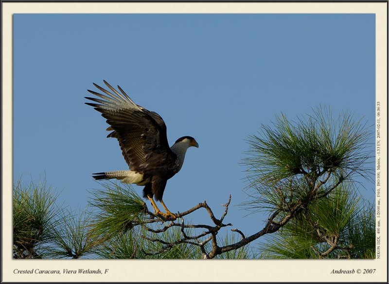 _DSC3864fscr.jpg