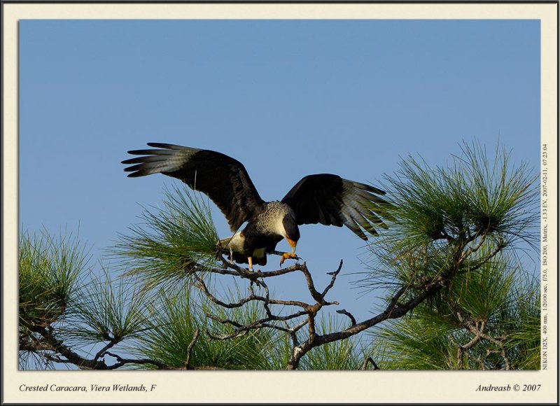 _DSC3893fscr.jpg