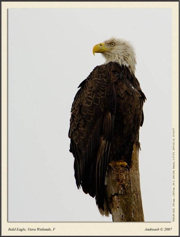 _DSC4414fscr.jpg