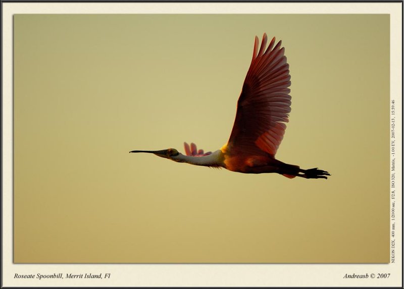 _DSC4924fs1900 2.jpg