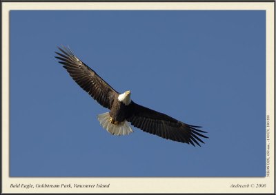_DSC0107fscr.jpg