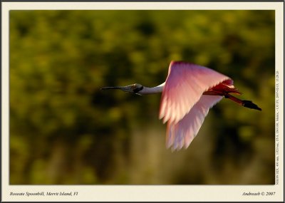_DSC4744fscr.jpg