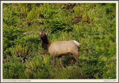 _D200985fs.jpg