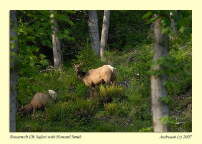_D200999fs.jpg
