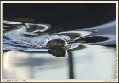_D206413fs1900.jpg