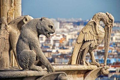 Atop Notre Dame