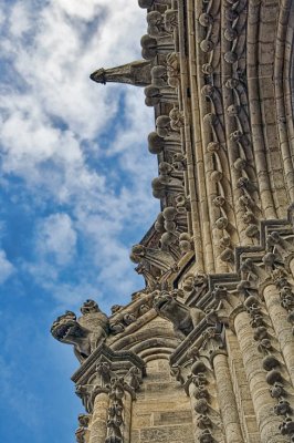 Notre Dame detail
