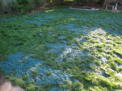 Lawn Project '07: ver. 01 - Phase II