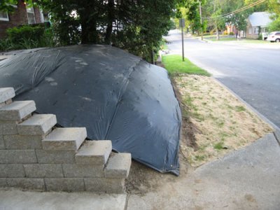 Front Yard Project '07: Phase II