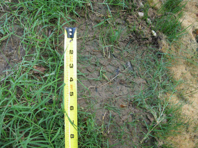 Front Yard Project '07: Update... OR Report?!