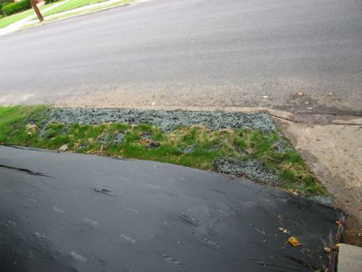 3942w.jpg