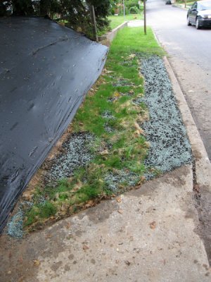 3943w.jpg