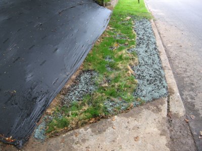 3944w.jpg