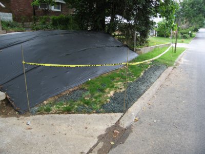 Front Yard Project '07: Update