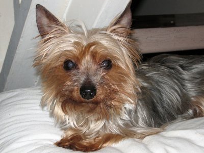 Peanut-02w.jpg