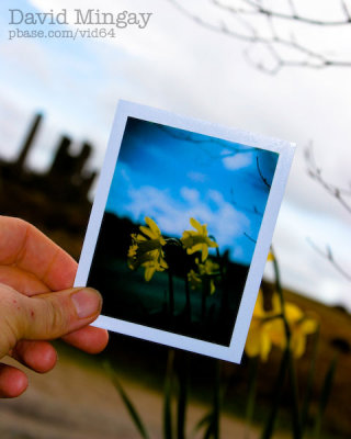 Mar 16: Polaroid skies...