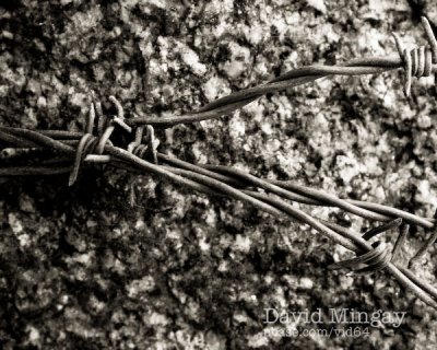 Jul 8: Barbed