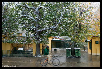 winterzoo