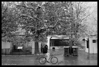 winterzoo B&W