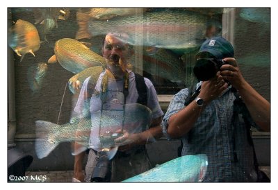 double fish exposure