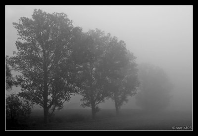 07. Misty Morning