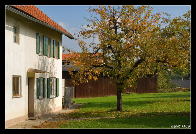 08. Neighbourhood