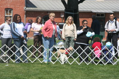 Kentlands Dog Show  -- May 19, 2007