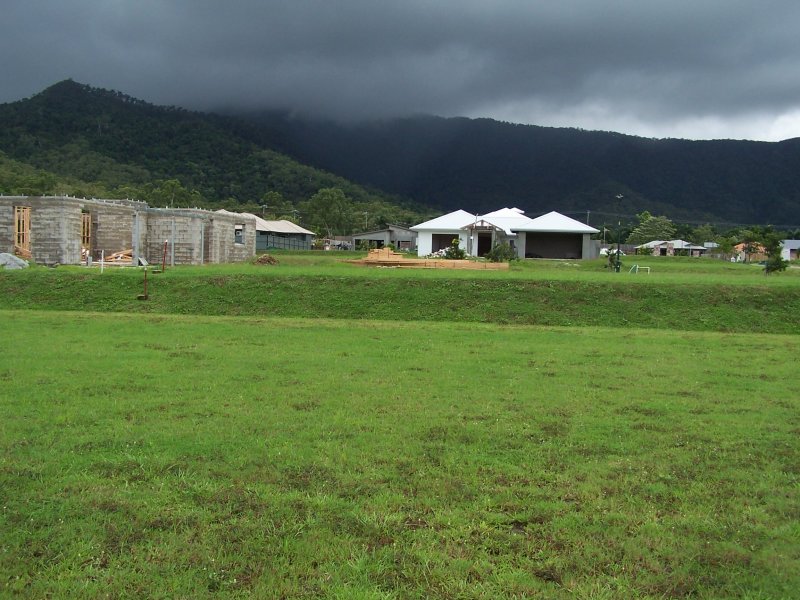 The Front View